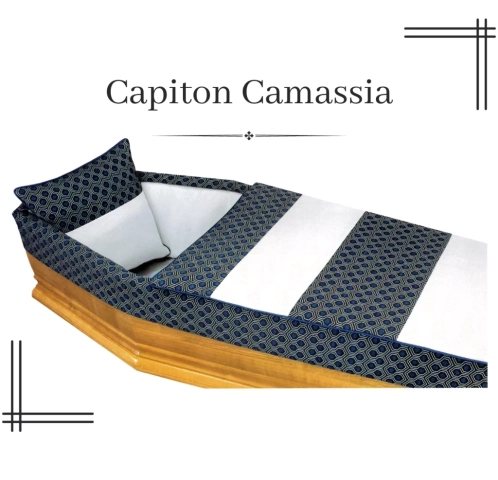 Capiton Camassia