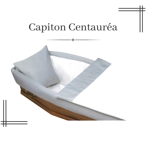 Capiton Centauréa